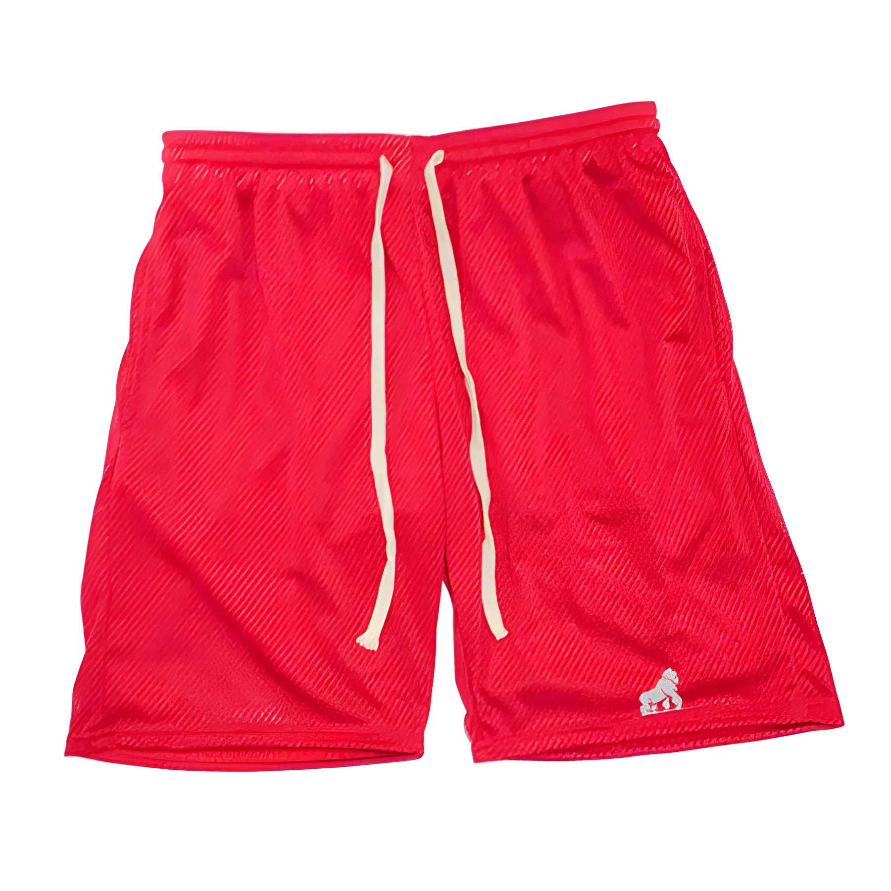 Retro Mesh Shorts – HTN Co.